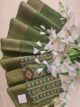Cottan patola saree - Image 4