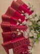 Cottan patola saree - Image 2